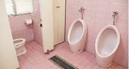 toile.jpg