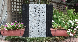 IMG_0006.JPG