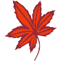 momizi.png