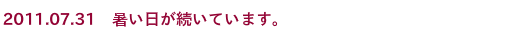 2011.6.30　お父さんと遊ぶ日