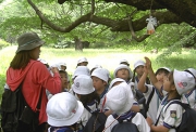 PICT2227.JPG