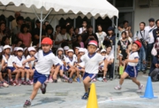 IMG_7847.JPG
