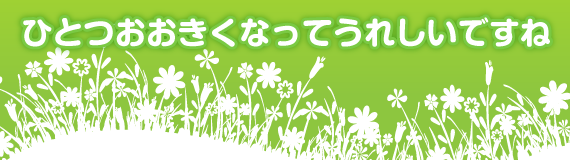 hina2_img.png
